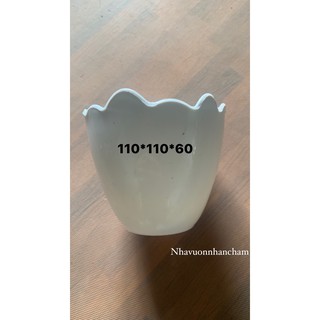 Chậu trứng trồng cây decor