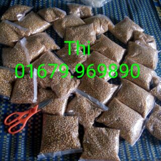 1kg HẠT Bắp Mỹ  làm món bắp rang bơ