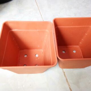 Chậu nhựa cứng vuông