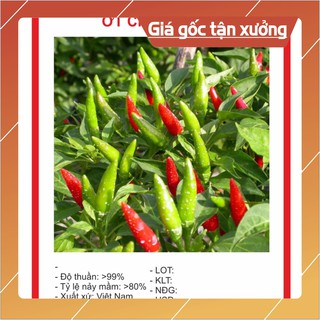 Hạt Giống Ớt Chỉ Thiên Siêu Cay Hạt giống