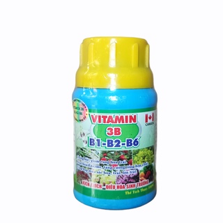 Vitamin 3B (B1-B2-B6)  Chống sốc, giải độc, điều hòa sinh trưởng cho Lan và cây cảnh 100ml