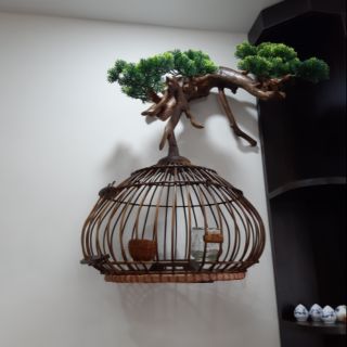 Lồng cu gáy quả bí size 38cm