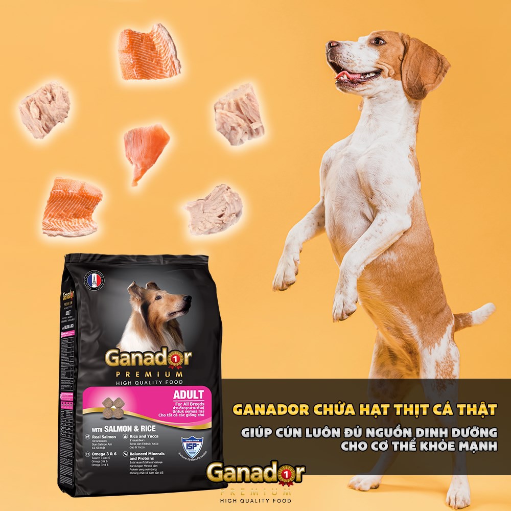 Thức Ăn Hạt Cho Chó Ganador Vị Cá Hồi & Gạo 400g
