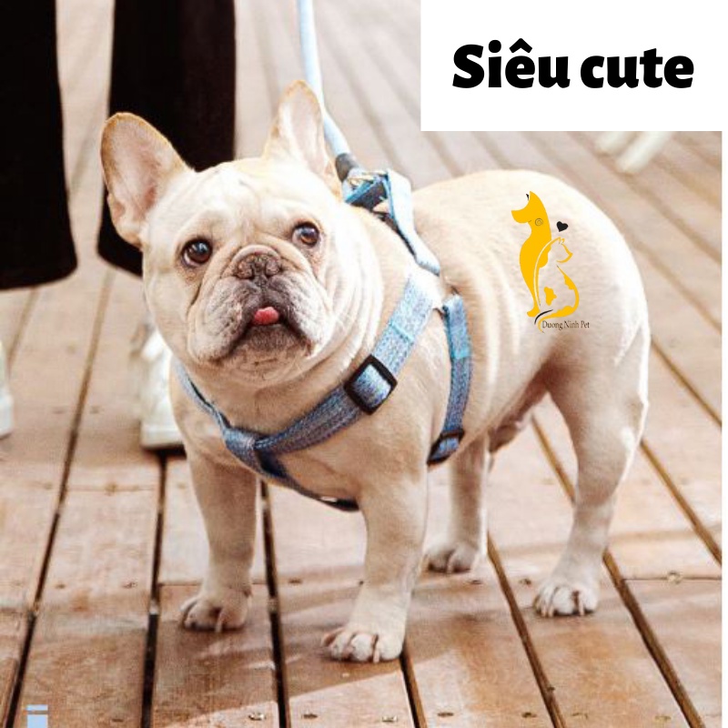 Dây dắt chó mèo Dương Ninh kèm yếm dễ thương nhiều màu DD15