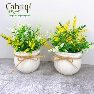 Cây Giả - Chậu Lá Đỗ Cắm Sẵn Xinh Xắn
