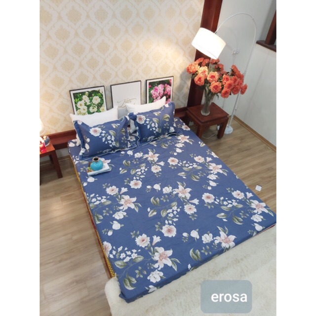 Bộ ga chun cotton Hàn Quốc 1,6*2m