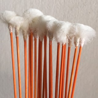 bông ráy tai lông vịt 20 cái