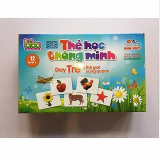 Bộ thẻ học thông minh Flashcard 12 chủ đề cho bé ( Loại to 12x16cm)