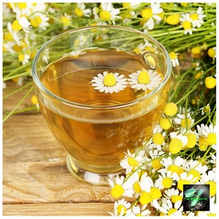 Hạt giống hoa cúc trà chamomile 216, đóng gói 0.1gr