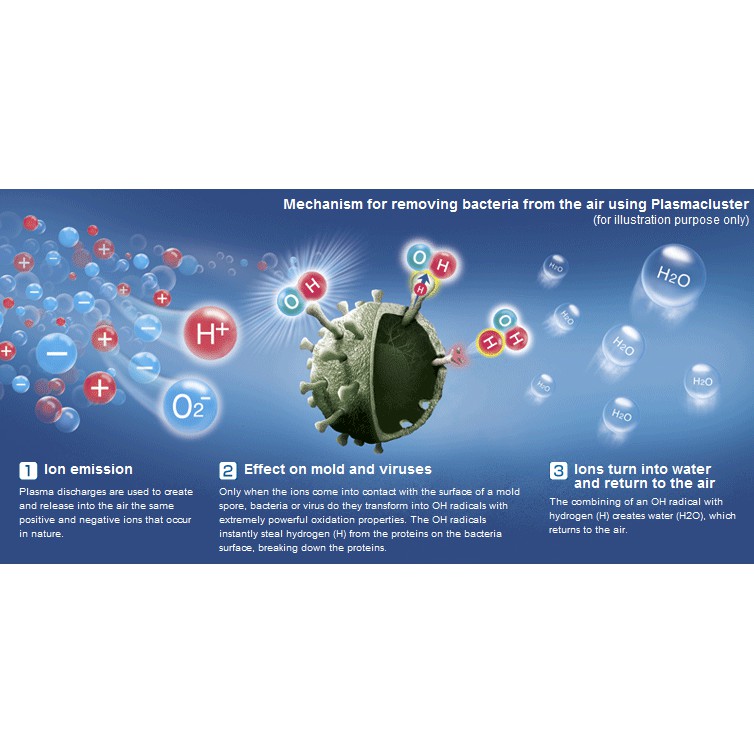 Máy tạo Plasma: ion âm và ion dương khử khuẩn lọc không khí Restme