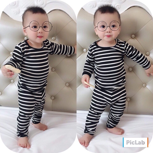 Bộ thu đông chó bé trai, gái
