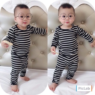 Bộ thu đông chó bé trai, gái