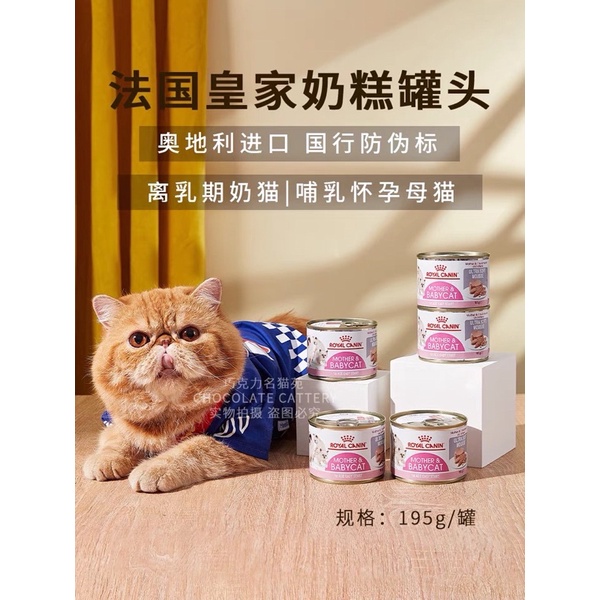Pate Royal Canin (195G)