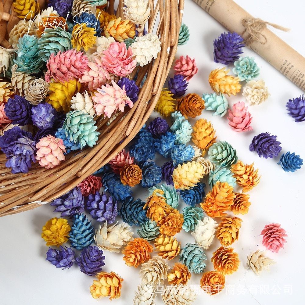 Trái Thông Khô Nhiều Màu  Shop Natural Soul