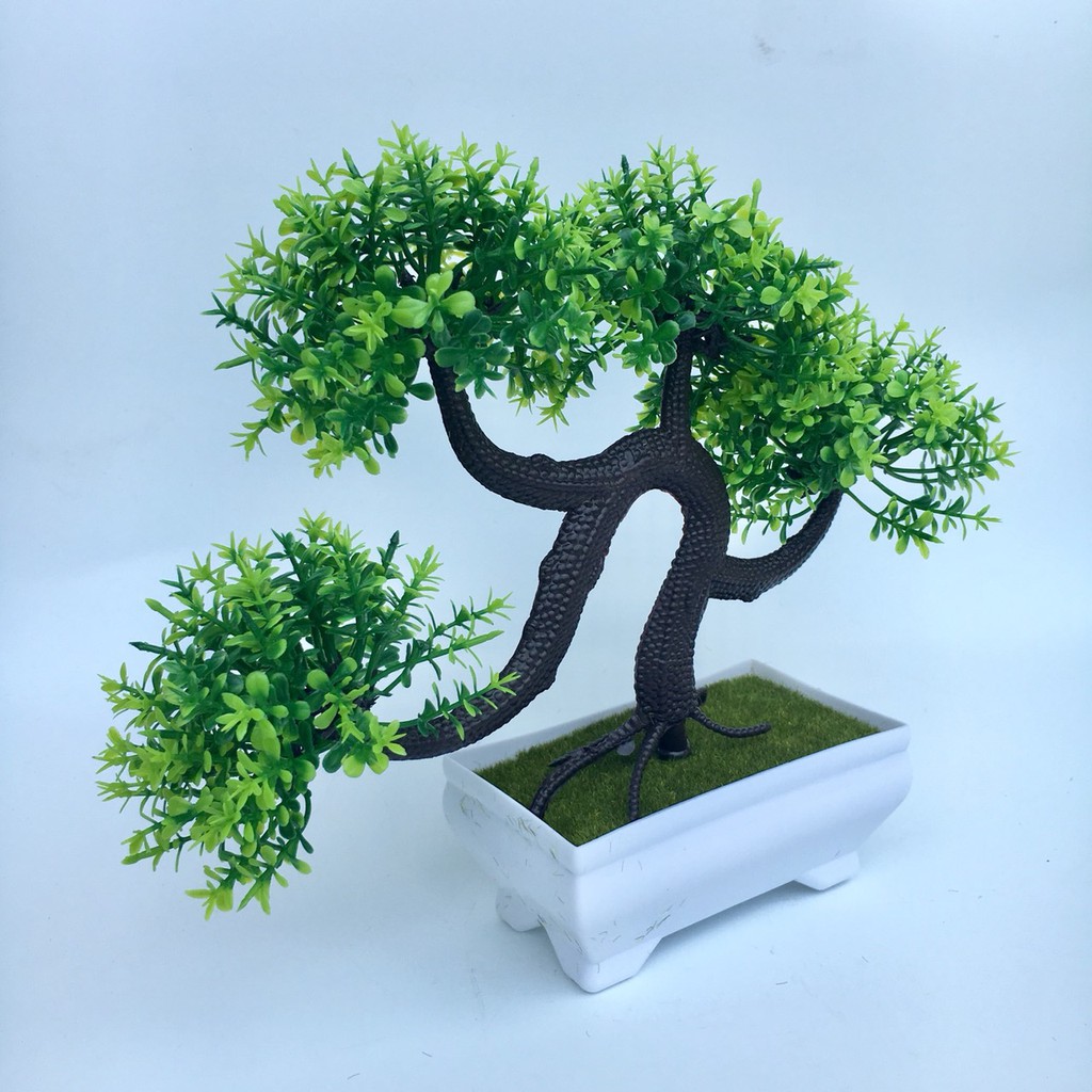 Cây kiểng giả để bàn trang trí, chậu bonsai cảnh (Kèm Chậu)