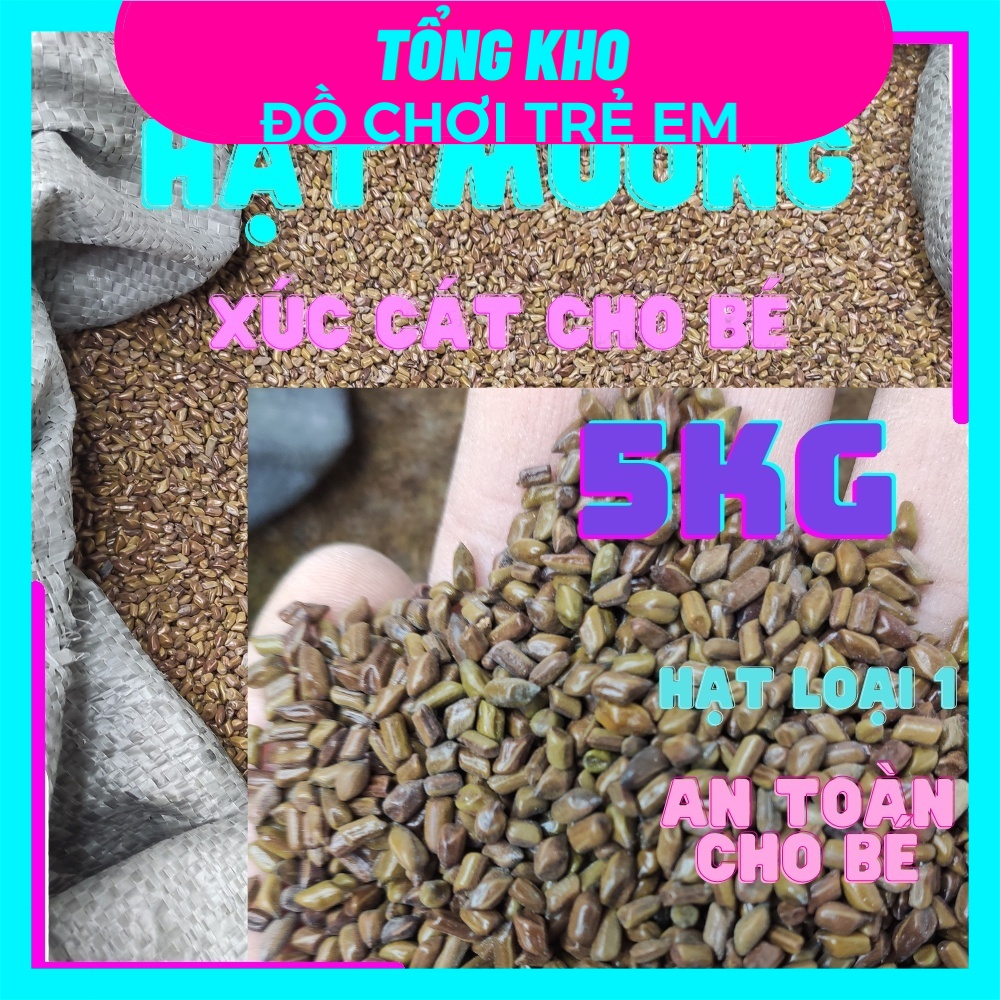 Đồ chơi xúc cát hạt muồng cho trẻ em chơi xúc cát an toàn, sạch sẽ 5kg