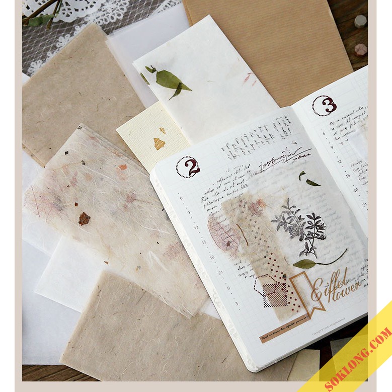 Set 30 tờ giấy hoa lá khô Vintage trang trí sổ, tấm giấy nền Bullet Journal, take note