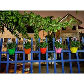 Chậu kẹp lan can, hàng rào 16x13 cm kèm đĩa lót