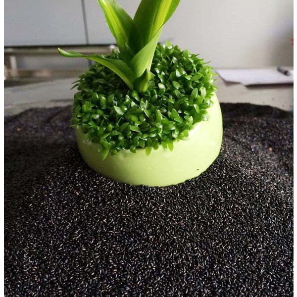 Hạt Giống Cỏ May Mắn Gói 1gram KNS226