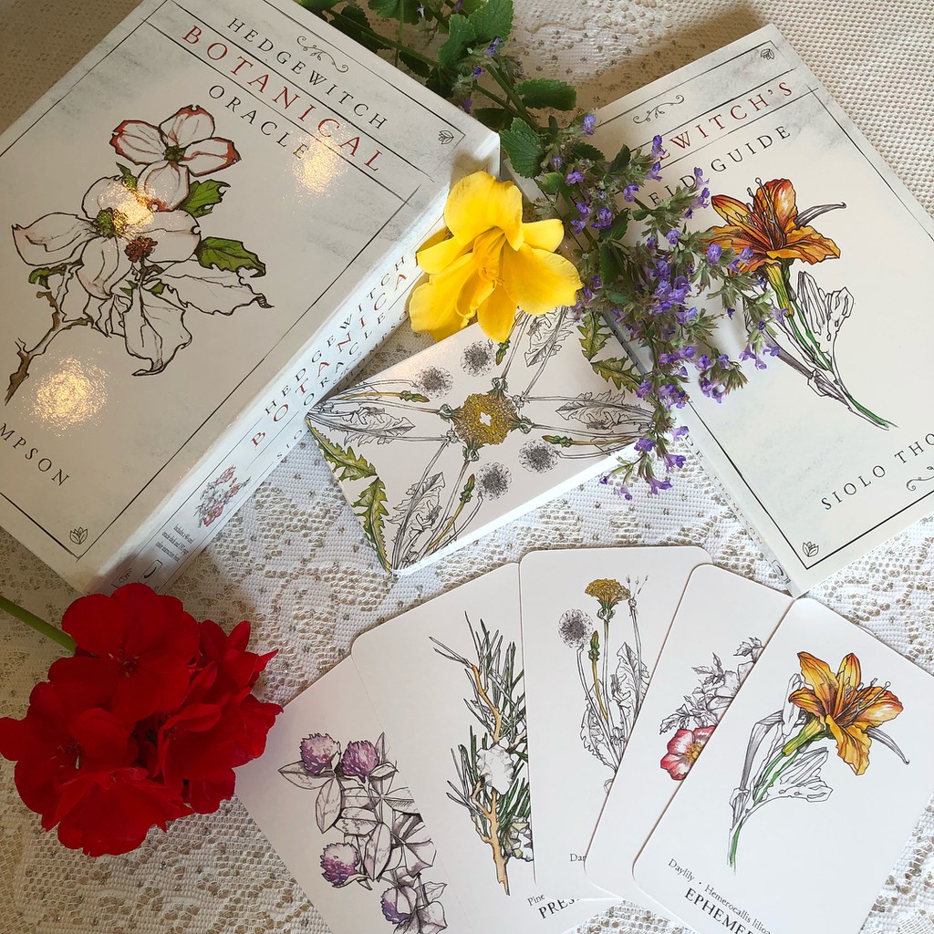 Bộ Bài Hedgewitch Botanical Oracle (Mystic House Tarot Shop) - Bài Gốc Authentic Chính Hãng 100%