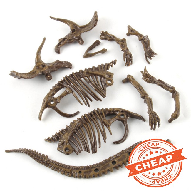 Đồ chơi lắp ráp mô hình xương khủng long độc đáo cho trẻ em