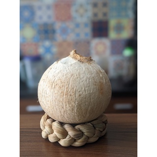 Sỉ 20 Trái Dừa Xiêm, Dừa Dứa Bến Tre gọt trọc tiện lợi, nước ngọt thanh, cơm dừa dẻo vừa ăn