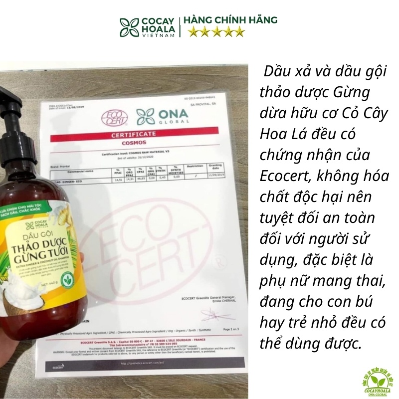 Dầu xả thảo dược gừng dừa Cocayhoala thiên nhiên hữu cơ cao cấp cỏ cây hoa lá ngăn gãy rụng dưỡng tóc mềm mượt chai 440