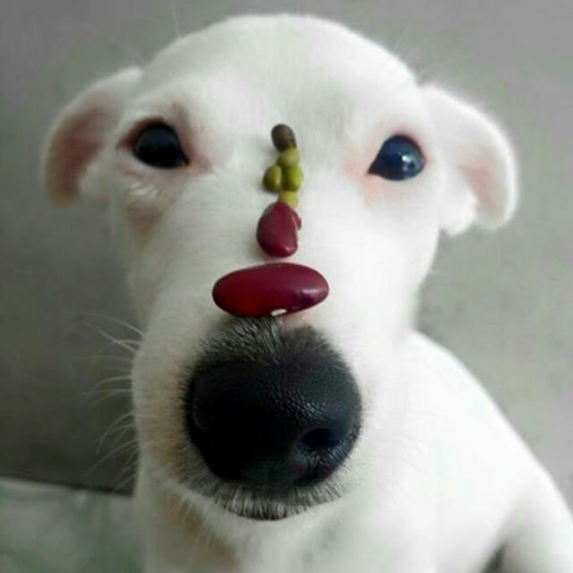 pinkbunny.mini711, Cửa hàng trực tuyến | BigBuy360 - bigbuy360.vn