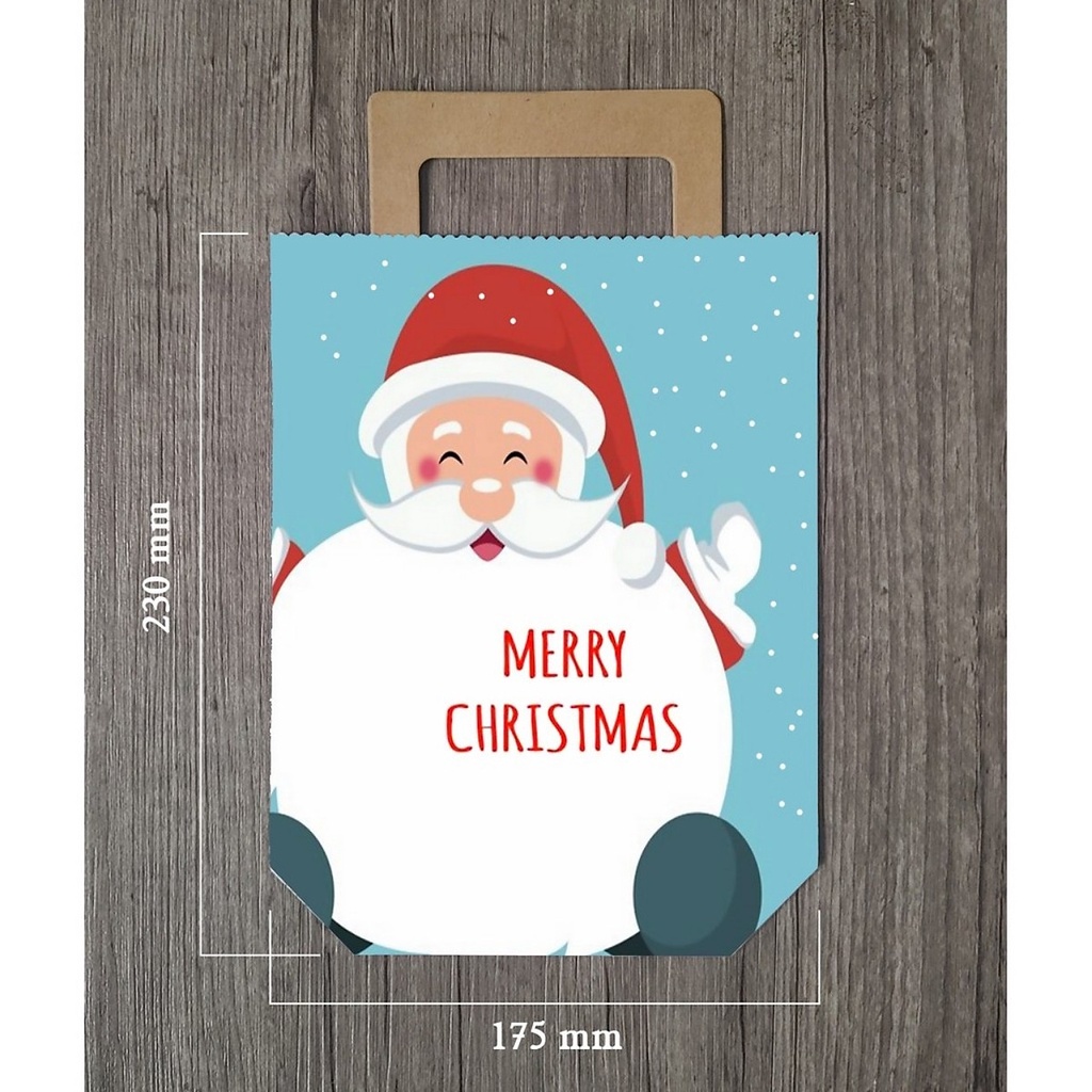Túi giấy đựng quà giáng sinh 23cm x 17cm