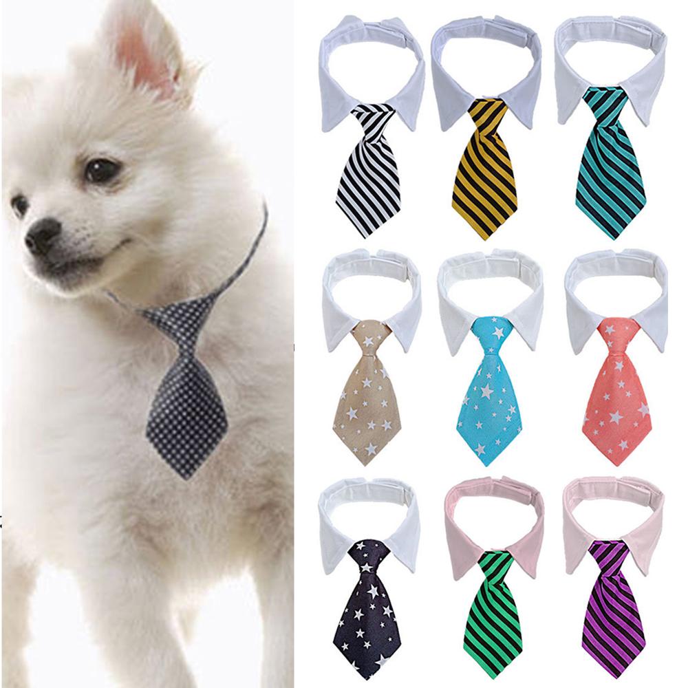 Vòng Cổ Tuxedo NhiềU MàU Cho Thú Cưng