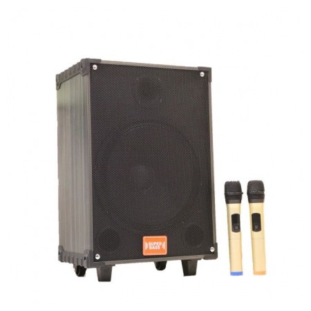 Loa Kéo Di Động SuperBass LT-912 Loa thùng gỗ Bass 30 Công Suất Lớn, Chỉnh Bass, Treble, Echo, Pin Lâu