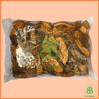 Xơ Dừa Miếng Trồng Lan