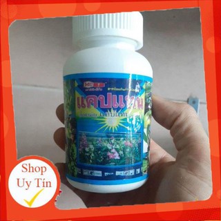 Thuốc CAPTAN trị thối nhũn vàng lá.