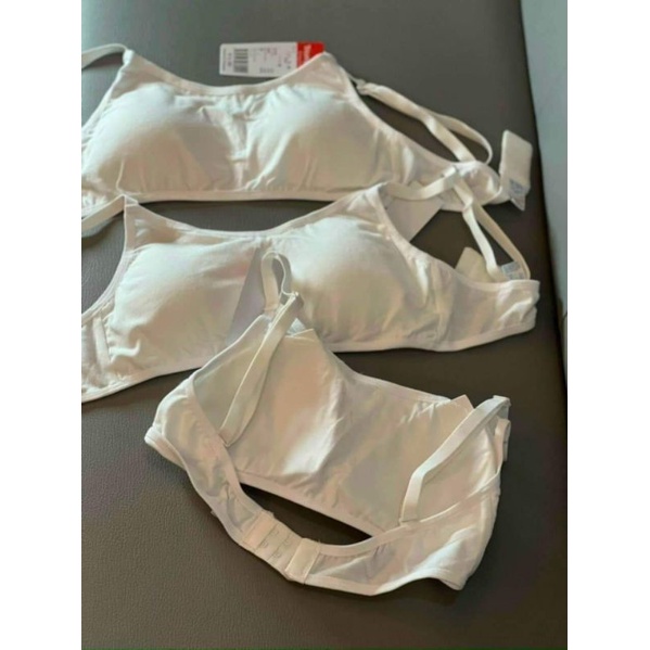 Áo Lá Triumph Học Sinh Dáng Cài và Dáng Chui