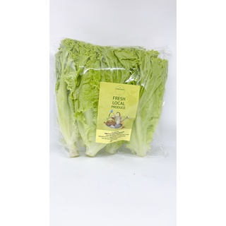 Xà lách Lollo xanh (Green lollo)