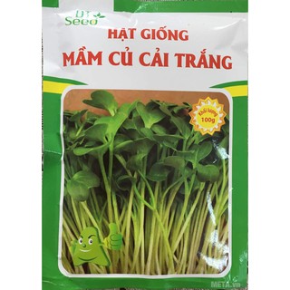 Hạt giống rau Mầm củ cải trắng 30gr-  Rau củ quả trồng tại vườn, sân thượng, nông trang, ban công