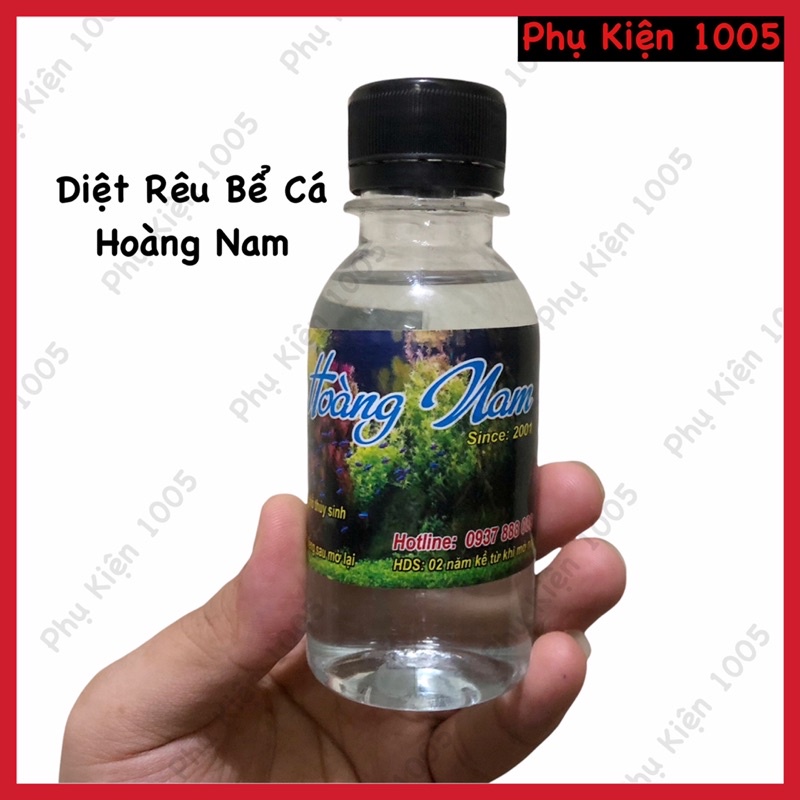 Diệt Rêu Bể Cá Hoàng Nam