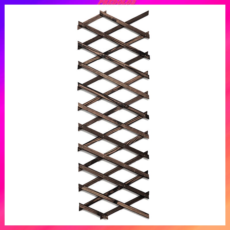 Hàng rào gỗ trồng cây dây leo trang trí sân vườn