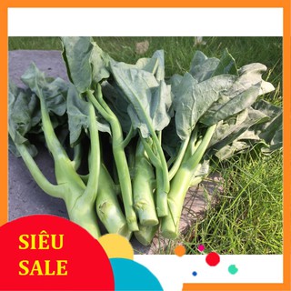 10g Hạt giống Cải rổ VIETPHAT