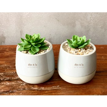 Chậu sen đá giả mini trang trí