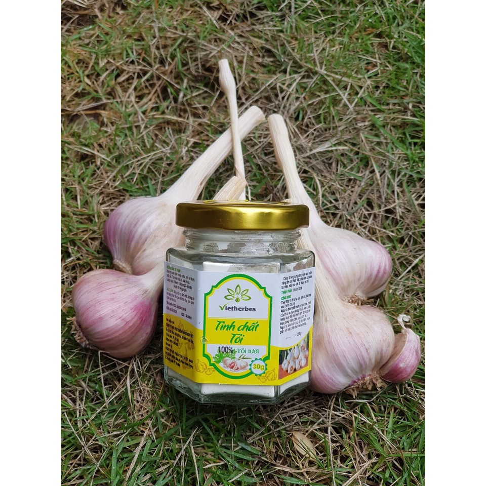 Tinh Chất Tỏi - Hộp 75g - Hỗ trợ tiêu hoá, miễn dịch, huyết áp