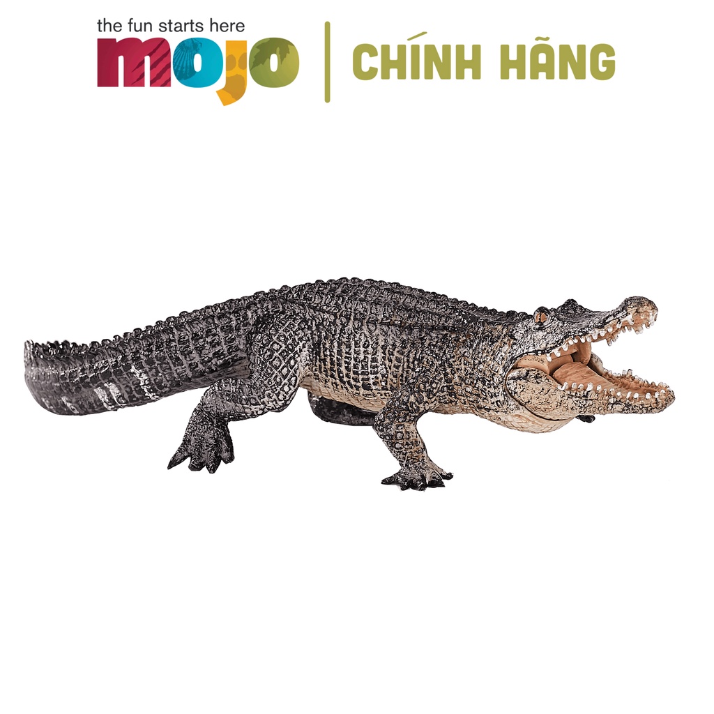 MÔ HÌNH ĐỘNG VẬT - CÁ SẤU MÕM RỘNG