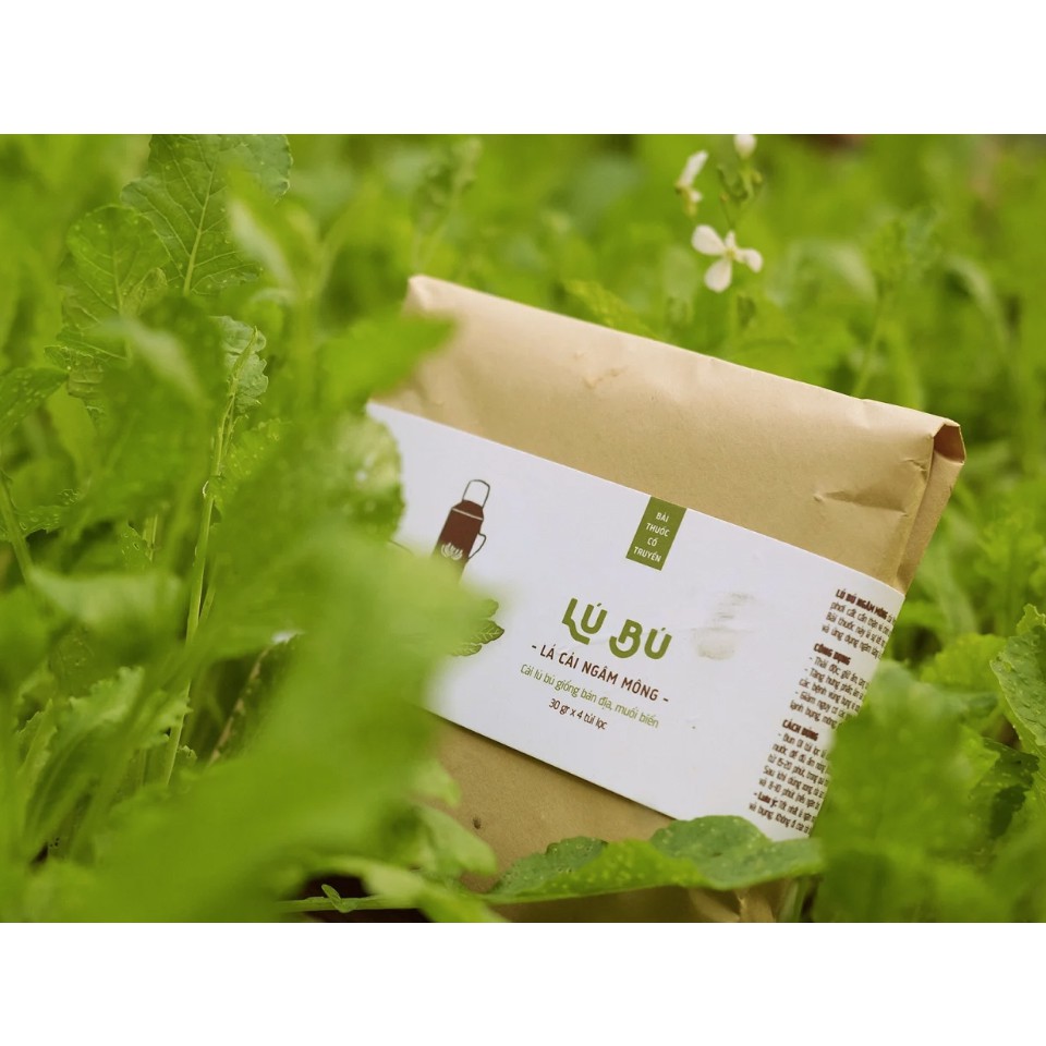 Lú Bú - lá cải ngâm mông (Vietherb) - 30g x 4 gói