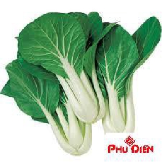 10 gr hạt giống cải bẹ trắng phú điền