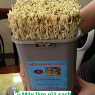 Máy làm giá sạch