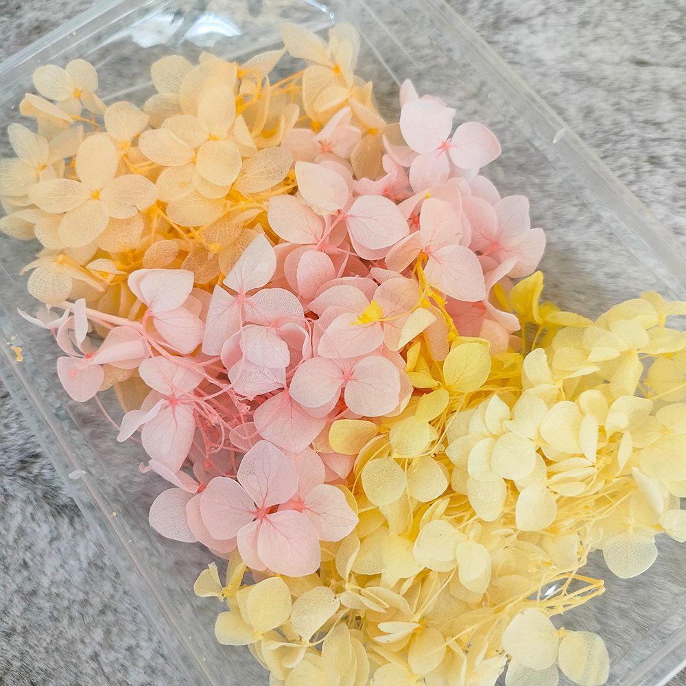Hộp hoa cẩm tú cầu khô trang trí dùng để làm thiệp, chụp hình phụ kiện, làm resin