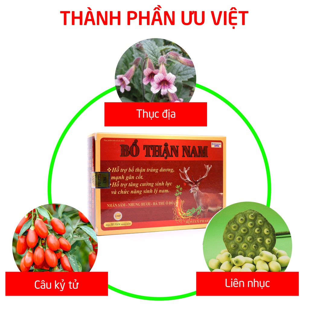 Viên uống tăng cường sinh lý nam, bổ thận, tráng dương Bổ Thận Nam Vỉ 30 viên