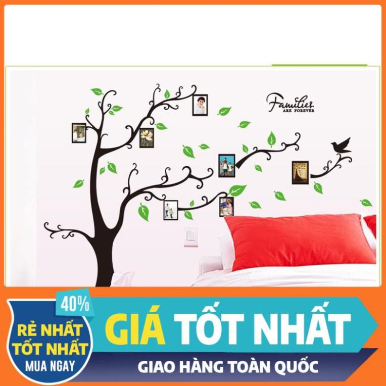 (HCM) Decal dán tường Cây treo ảnh 4 size nhỏ - decalhcm