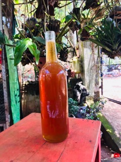 Mật ong hoa cà phê Đăk Lăk 2 lit