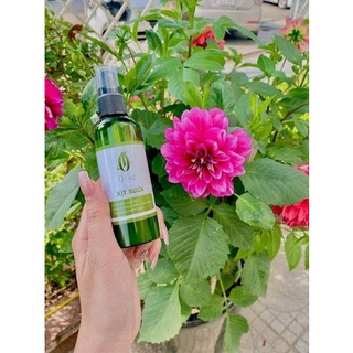 Tinh Dầu Xịt Bưởi Olic